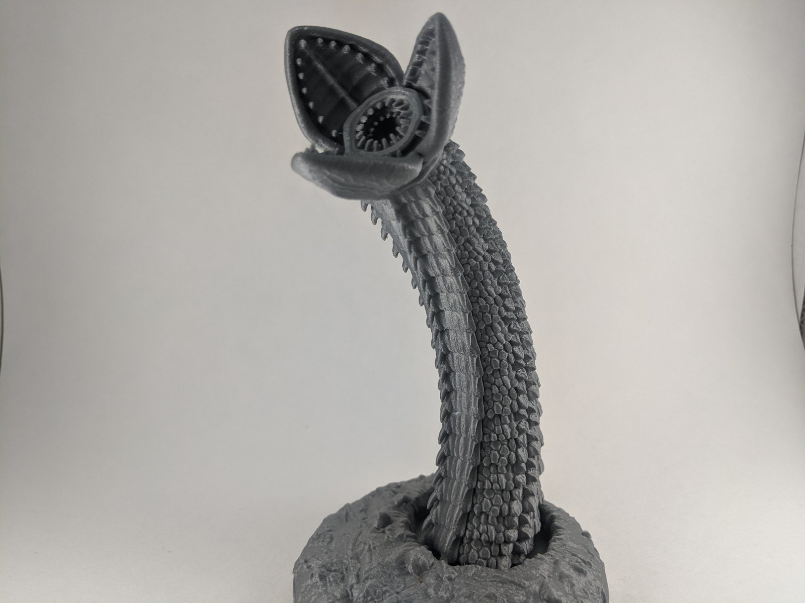 Giant Worm